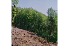 Image Deforestation.